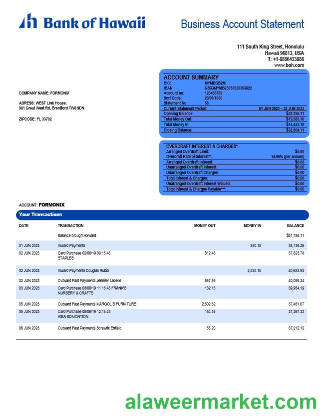 Bank of Hawaii firm account statement Word and PDF template